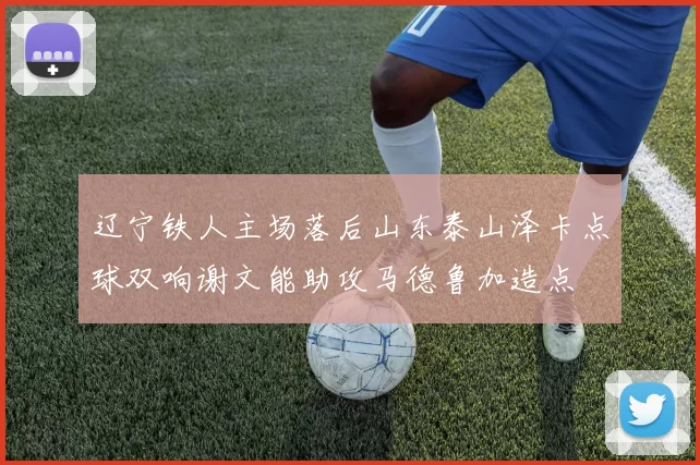 辽宁铁人主场落后山东泰山泽卡点球双响谢文能助攻马德鲁加造点